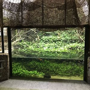 Exhibit within Australia section 171018