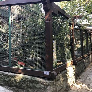 Waterside Birds aviary 171018