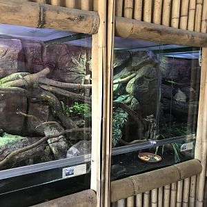 South East Asia House - vivaria 171018