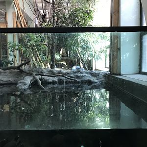 South East Asia House 171018