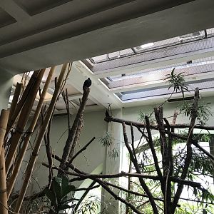 South East Asia House 171018