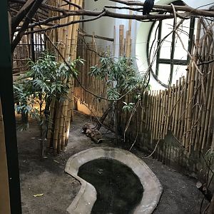 South East Asia House 171018