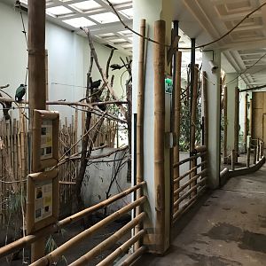 South East Asia House 171018