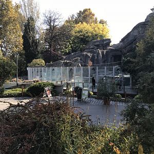 Polar bear enclosure 171018