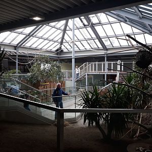 Südamerikahaus - general overview