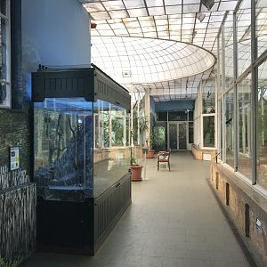 Madagascar House side exhibits 171018