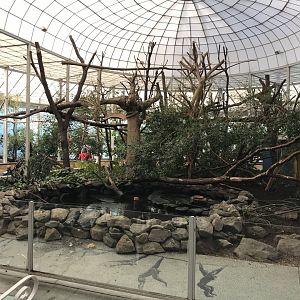 Madagascar House - central exhibit 171018