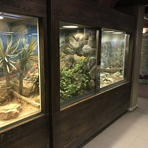 Venomous Creatures house exhibits 171018