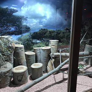 Savanna House - Gundi exhibit 171018