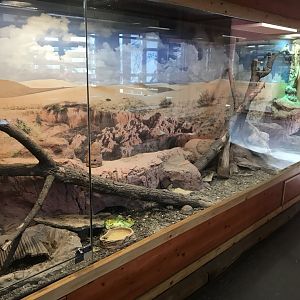 Savanna House - Tortoise exhibit 171018