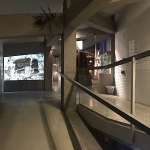 Magic Mountain indoors 171018