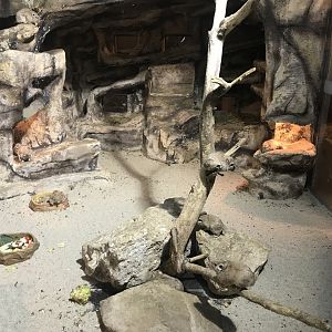 Magic Mountain - Gundi exhibit 171018