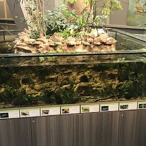 Magic Mountain exhibit 171018