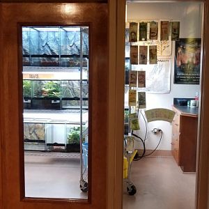 One of the frog rooms, Amazonia