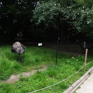 Emu Enclosure at Clères, 16/06/18