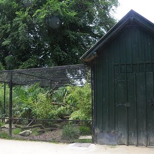 Aviaries at Clères, 16/06/18