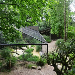 Aviaries at Clères, 16/06/18