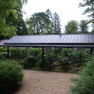 Aviaries at Clères, 16/06/18