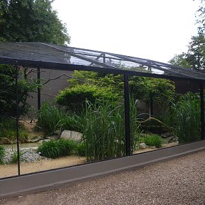 Aviaries at Clères, 16/06/18