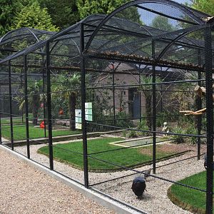 Aviaries at Clères, 16/06/18