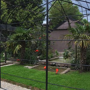 Aviaries at Clères, 16/06/18