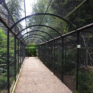 Aviaries at Clères, 16/06/18