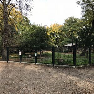 Mini Zoo, Margaret's Island - Fallow deer enclosure 181018