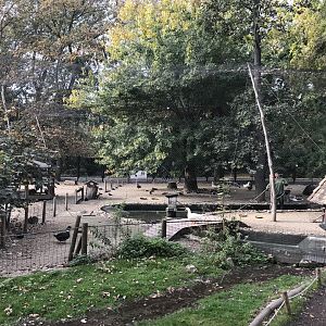 Mini Zoo, Margaret's Island - Waterfowl aviary 181018