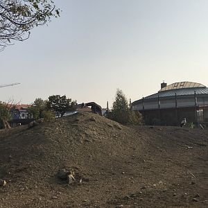 Savanna exhibit view 201018