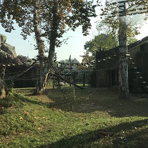 Gorilla exhibit 201018