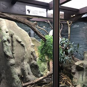 Exhibit in Reptile House 261018