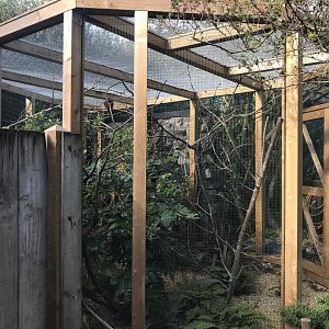 Zona Brazil - aviary 261018