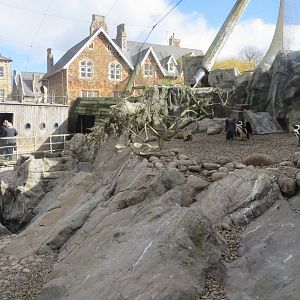 Seal and Penguin Coasts 261018