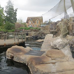 Seal and Penguin Coasts 261018