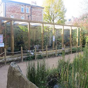 Aviaries 261018