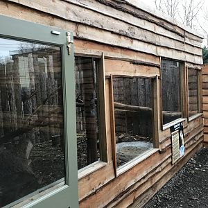 Desmarest's hutia exhibit - outdoors 241118