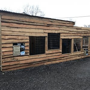 Tayra exhibit no.1 241118