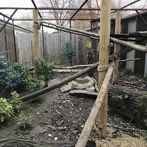 Tayra outdoors 241118