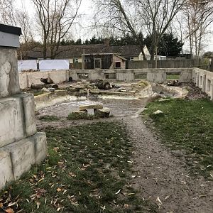 American beaver enclosure 241118
