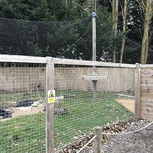 Giant wood-rail exhibit 241118