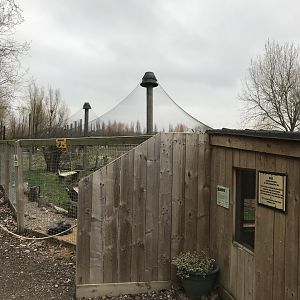 Silver fox exhibit 241118