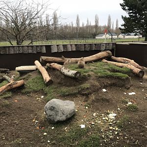 Black-tailed prairie dog enclosure 241118