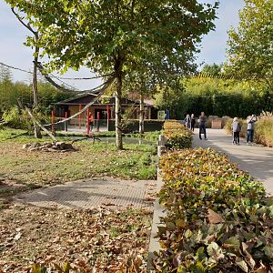 Red panda - Otter enclosure