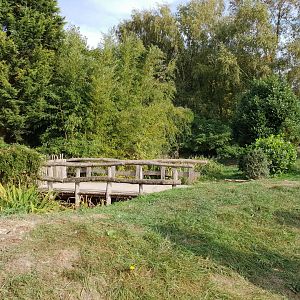 Bridge and White stork enclosure