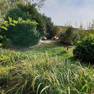 White stork enclosure