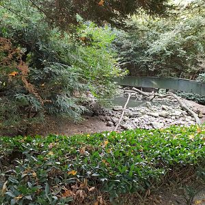 Raccoon and Raccoon dog enclosure