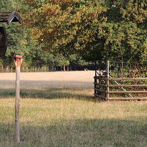 Hoofstock Paddock Part 3