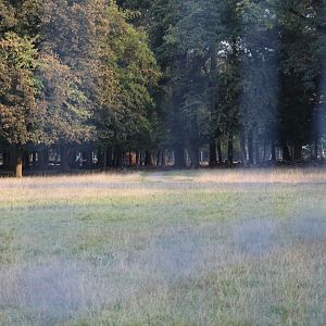 Hoofstock Paddock Part 4