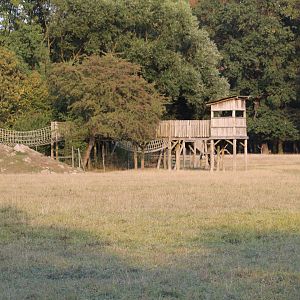 Hoofstock Paddock Part 6