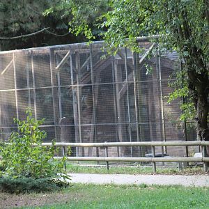 Beech Marten Enclosure